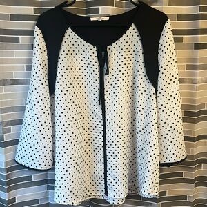 41 Hawthorn Sheer Polka Dot Blouse - Size XL (22.5” PTP)